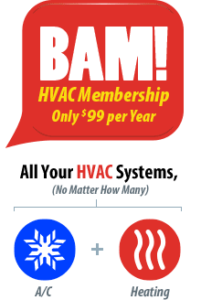 BAM - All Your Systems for only $99 per Year
